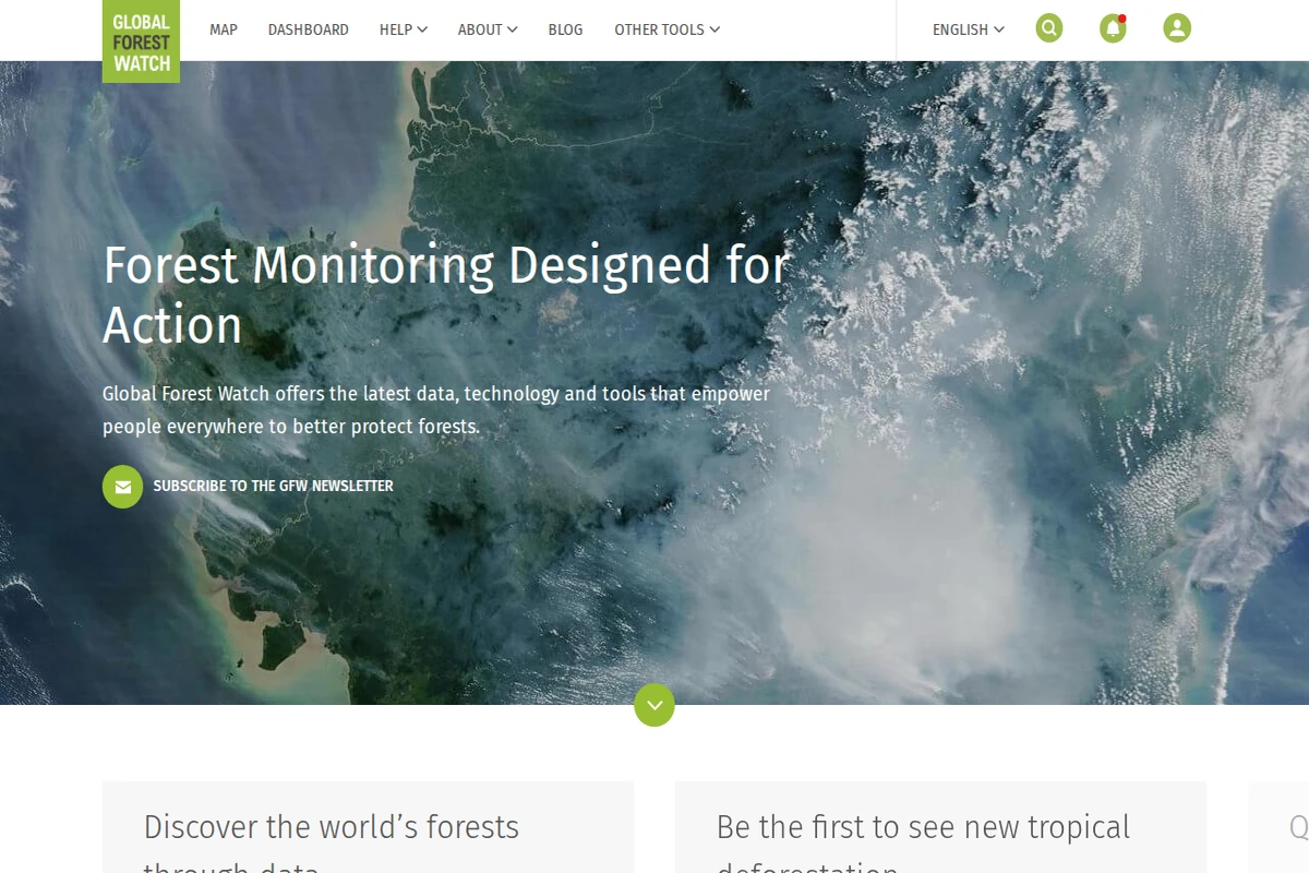 Widok z satelity na zalesione wybrzeże z nakładką interfejsu Global Forest Watch pokazującą narzędzia monitoringu lasów i menu nawigacyjne.